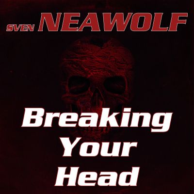 track ... Sven Neawolf ... Lost Time